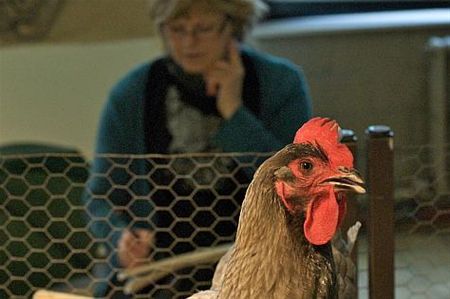 Opendeurdag in het NIKO - Neerpelt