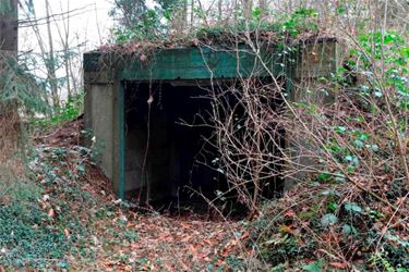 Schuilplaats voor vleermuizen in oude garage - Beringen