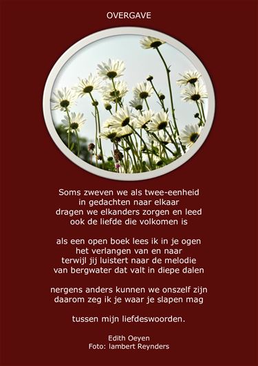 Overgave... - Beringen & Leopoldsburg