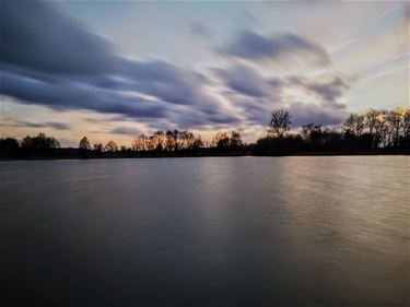 Paalse Plas - Beringen