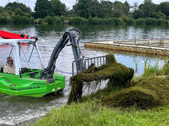 Paalse Plas klaar voor de zomer - Beringen