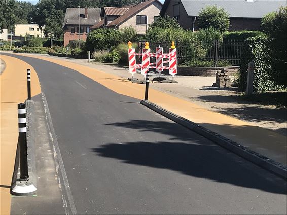 Paaltjes voor de Hofstraat - Houthalen-Helchteren