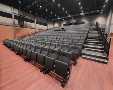 Palethe zet Zinnezaal in nieuw licht - Pelt