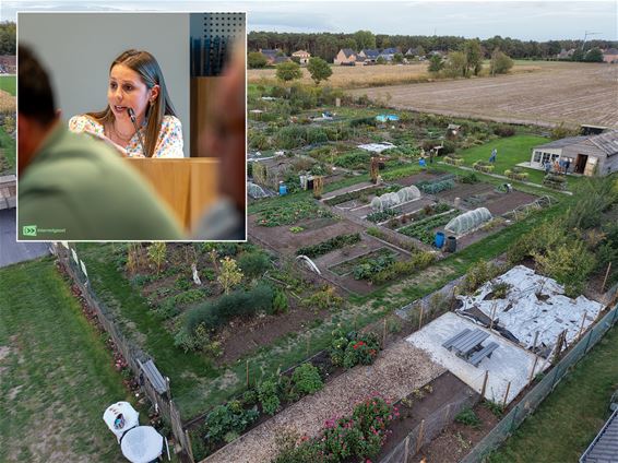 Pelt geeft volkstuincomplex meer autonomie - Pelt