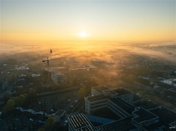 Pelt in de mist - Pelt