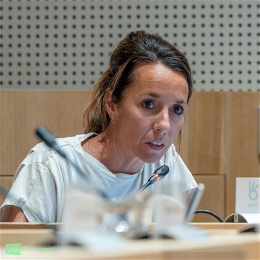 Pelt koopt pand voor sociale werking: reacties - Pelt