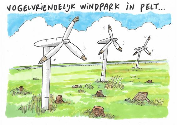 Pelt krijgt een windturbinepark - Pelt