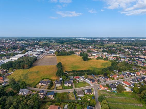 Pelt werkt aan groene woonbuurt in Haspershoven - Pelt