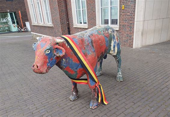 Peltse burgervader krijgt ‘os’ - Pelt