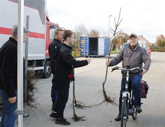 Peltse gezinnen halen hun boom af - Pelt