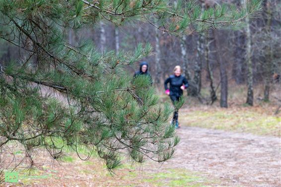 Peltse lopers tekenen present in Lommel Kolonie - Pelt
