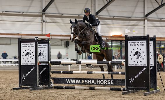 Peltse Noa schittert met jonge merrie
