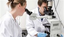 Leopoldsburg - Universiteiten: 1/3 personeel - 30