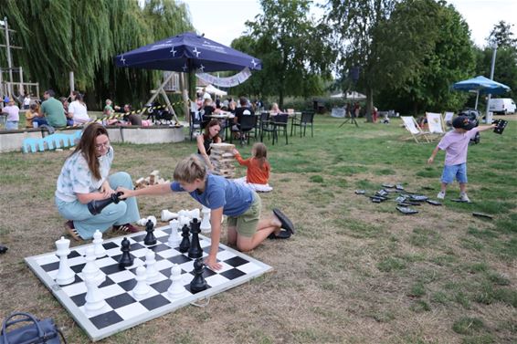 Picknickfestival aan Paalse Plas - Beringen