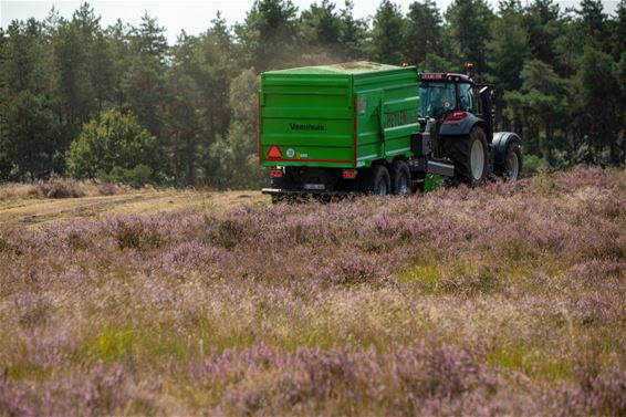 Plag- en chopperwerken op de Blekerheide - Lommel