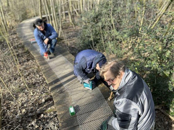 Plankenpad krijgt 'kiekendraad' - Beringen