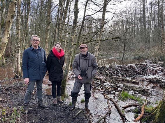 Plannen maken voor de toegankelijkheid van ’t Plat - Pelt