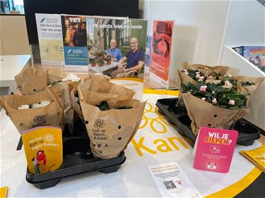 Plantjesweekend voor Kom op tegen Kanker - Leopoldsburg