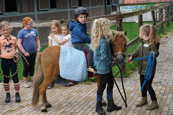 Ponyrijden op de Heuvelhoeve - Lommel