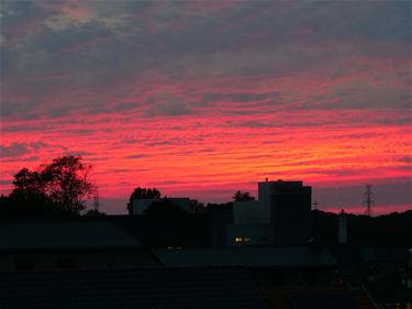 Prachtig avondrood - Beringen & Leopoldsburg