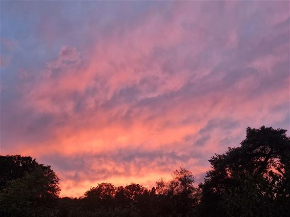 Pelt - Prachtige zonsondergang boven ’t Plat