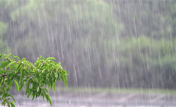 Peer - Problemen door hevige wind en regenval