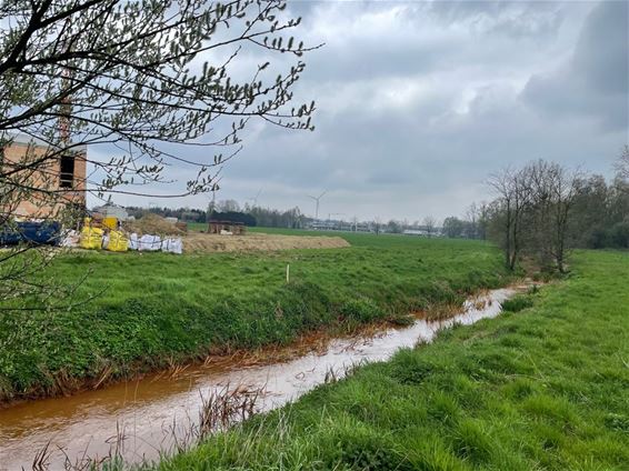 Projectontwikkelaar wil bouwen in Broekhoven - Beringen