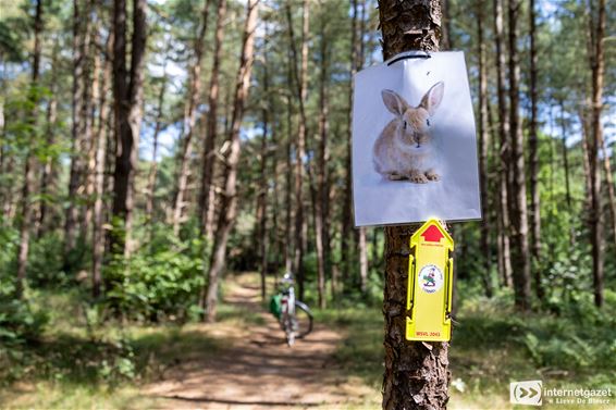 Puffen en zweten tijdens Grensparkwandeling - Lommel