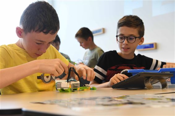 Racewagens bouwen in het LEGO-kamp - Beringen