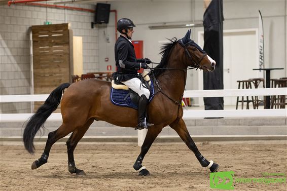 Rammstein, niet de band, wel het paard - Peer