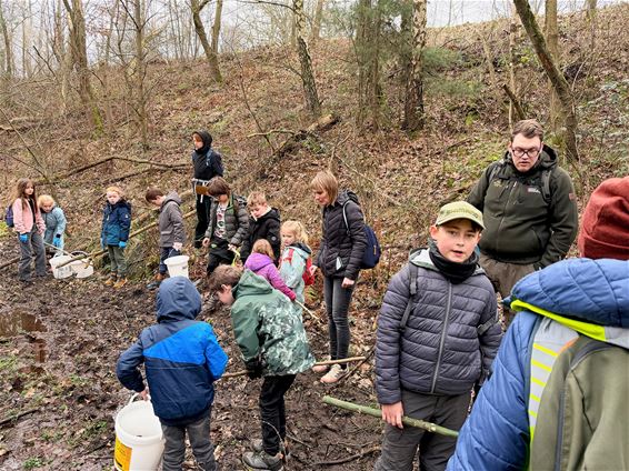 Recordaantal padden veilig overgezet - Pelt