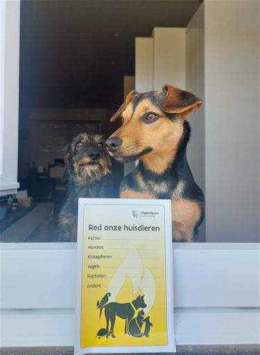 Bree - Red je huisdier met één simpele sticker