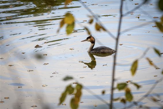 Reflecties... op deze eerste november - Lommel