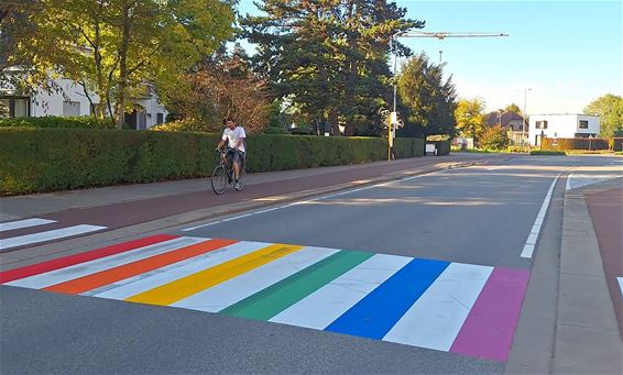 Regenboogzebrapad aan scholencampus - Peer