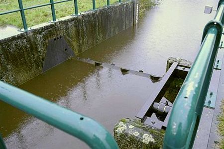 Regenval: waterpeil Dommel daalt - Pelt