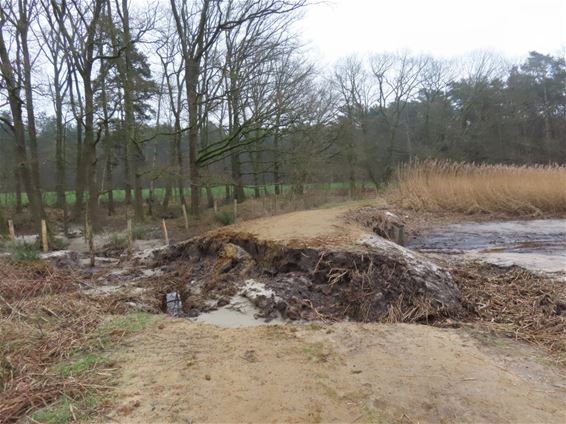 Hechtel-Eksel - Reigerpad onderbroken