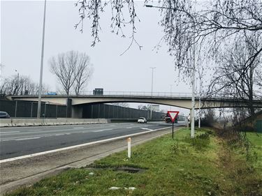 Renovatie twee bruggen over E313 - Beringen