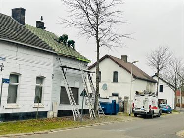 Renovatiecoach voor de cité - Beringen