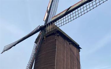 Restauratie historische molen - Beringen