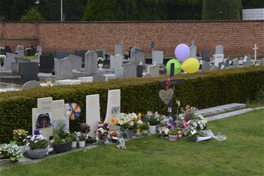 Reveil op kerkhof Paal - Beringen
