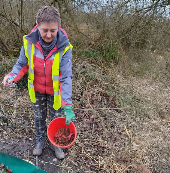 Ria Hermans zet padden veilig over in Dommelvallei - Peer