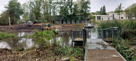 Riet ruimt plaats aan Dommelplas - Peer