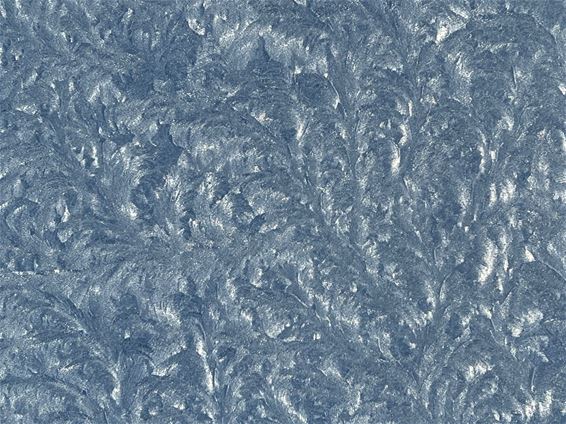 Rijp als kunstwerk op serreglas