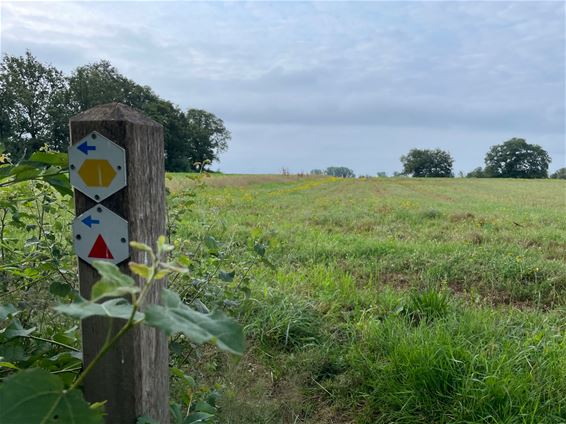 Rode wandeling Paal - Beringen