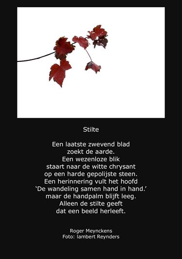 Roger Meynckens: Stilte - Beringen