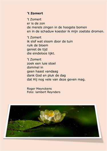 Roger Meynckens: 't Zomert - Beringen & Leopoldsburg