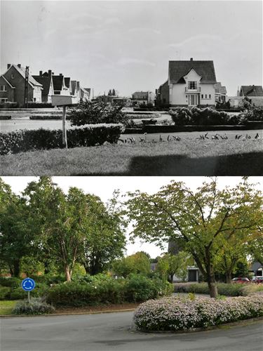 Rozenlaan Beringen - Beringen