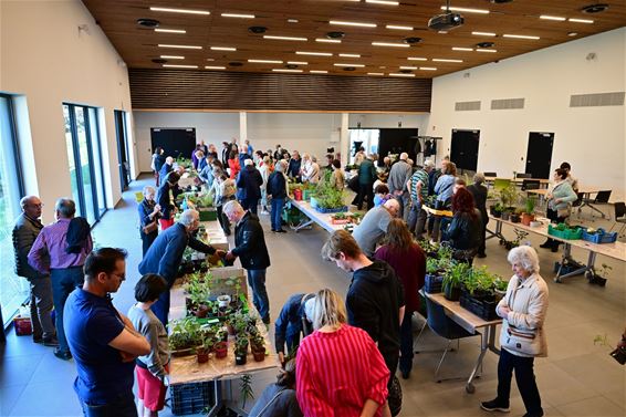 Ruildag Tuinhier Koersel - Beringen