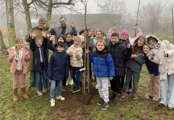 Ruim 8000 extra bomen - Beringen