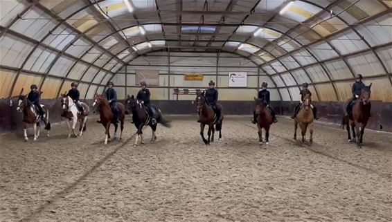 Samen een paardenshow in mekaar steken - Lommel